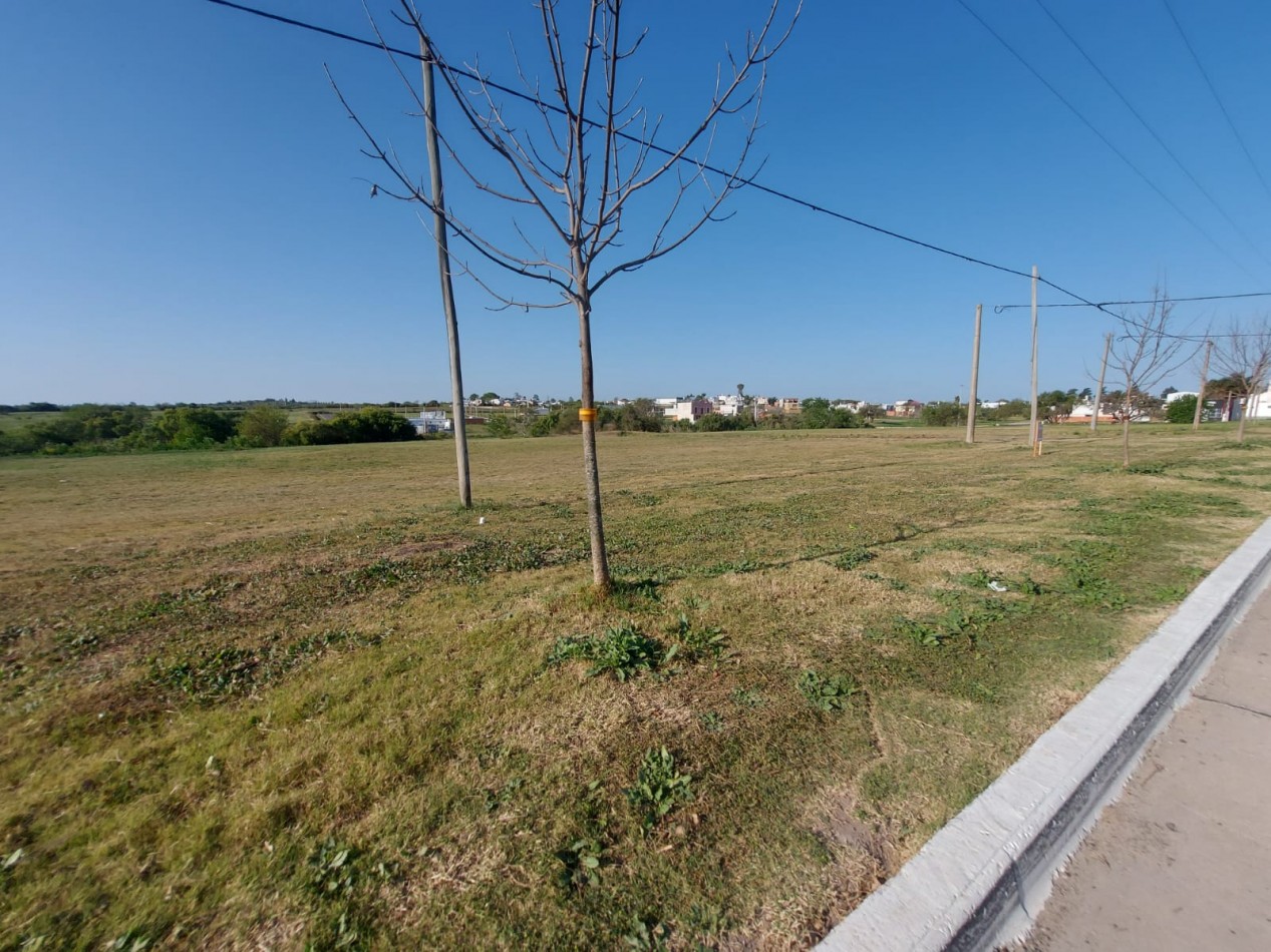 Nuevo Ingreso, en la ciudad de Oro Verde, Loteo sobre Avenida Los Chañares