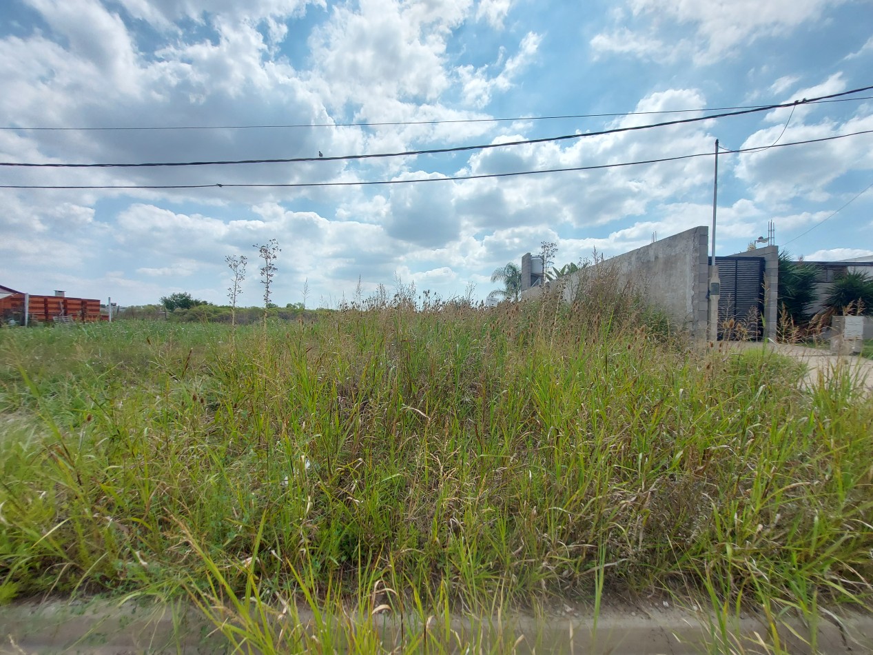 Vendo hermoso terreno en San Benito